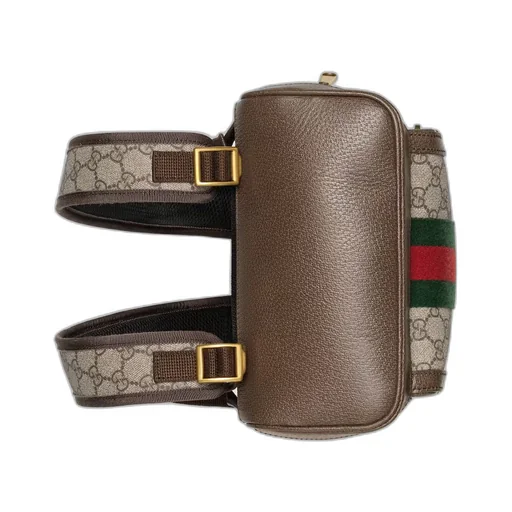 Ophidia GG small backpack