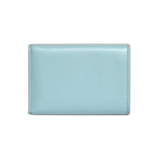 Envelope Mini Wallet