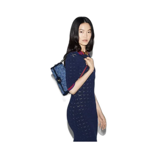 Gucci Luce small shoulder bag
