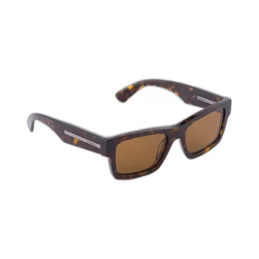 Sunglasses with iconic metal plaque