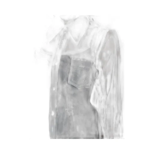 Sheer Long Sleeved Shirt