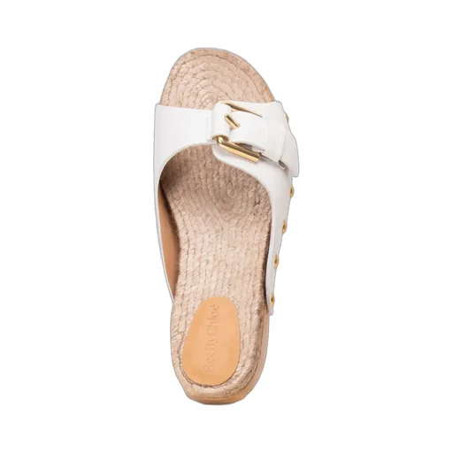 Platform Clogs