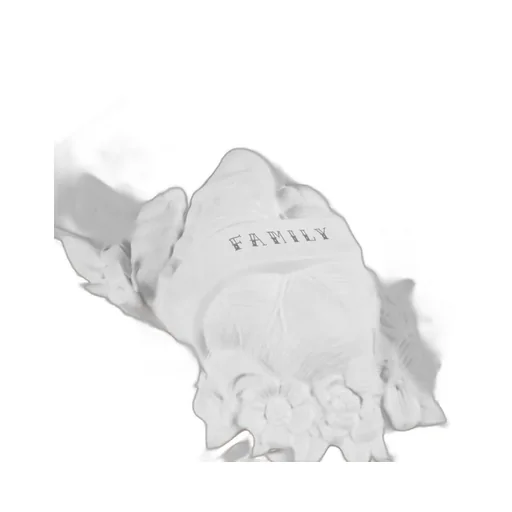 Floral And Leaf Appliqué