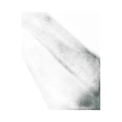Cotton Polo Shirt