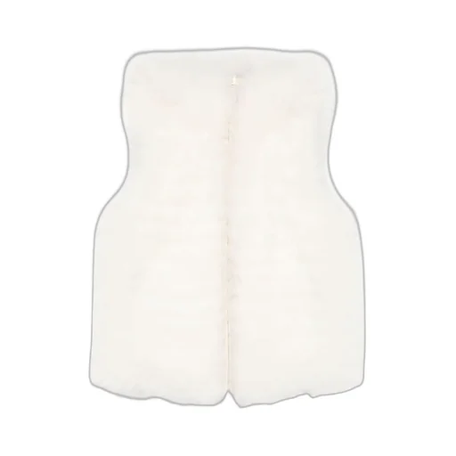 Hooded Down Vest