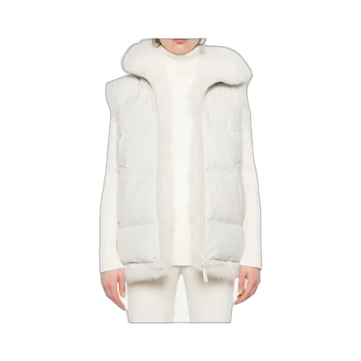 Hooded Down Vest