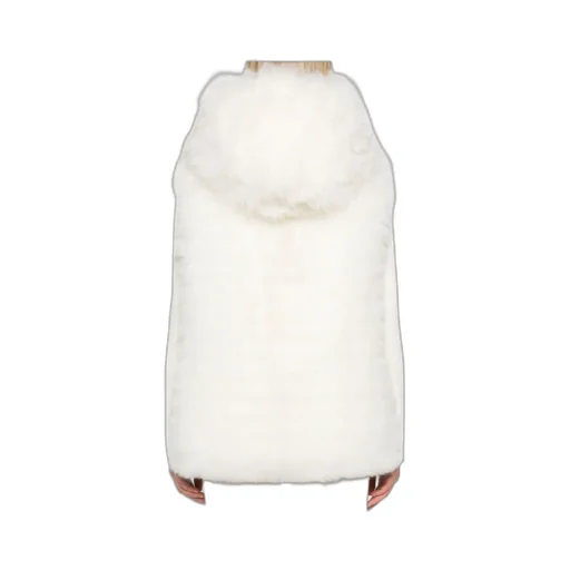 Hooded Down Vest