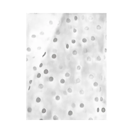 Polka-Dot Blouse
