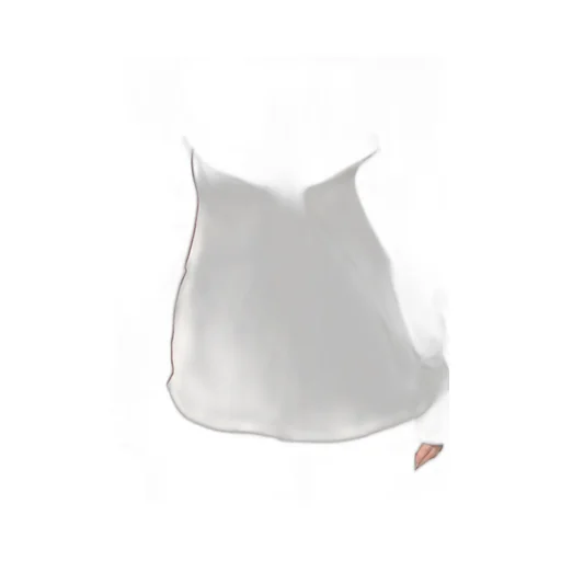 Victoria Beckham Gathered Blouse