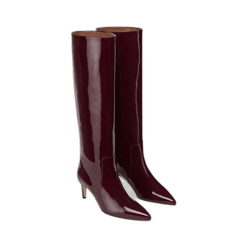 Paris Texas Pointed Toe Knee-High Boots