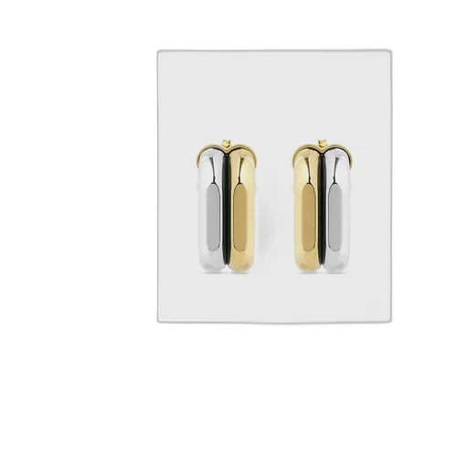 Paco Rabanne Two-Toned Hoop Earrings