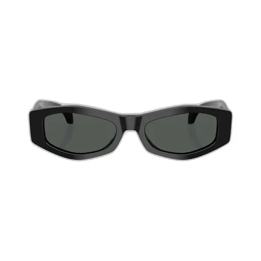 Full Frame Sunglasses