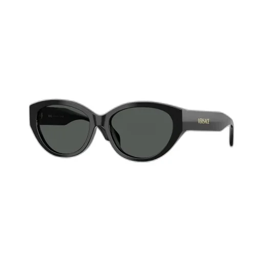 Versace Eyewear Oval-Frame Sunglasses