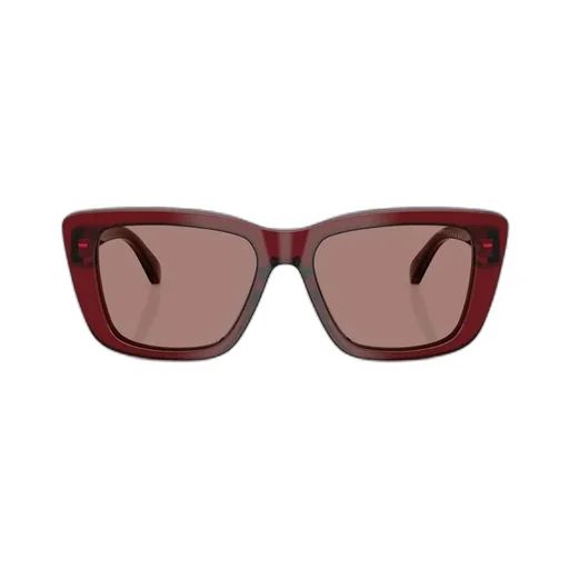 Full Frame Sunglasses