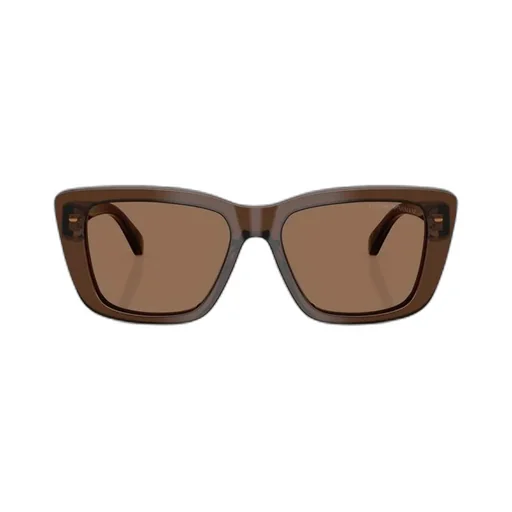 Emporio Armani Cat-Eye Sunglasses