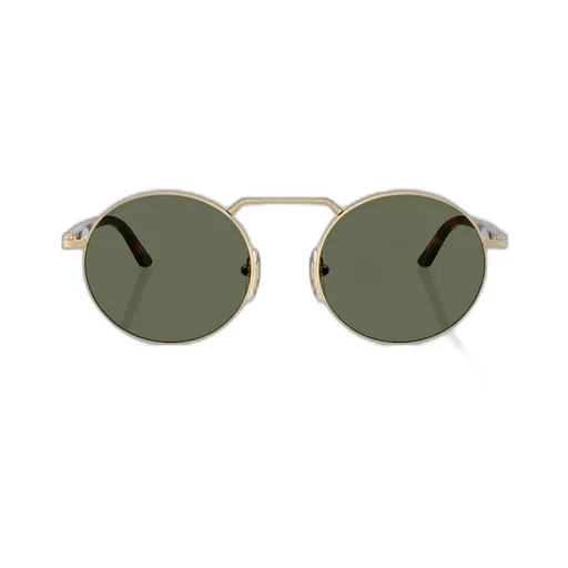 Persol Round Frame Sunglasses