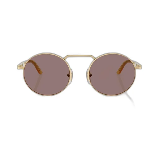 Persol Round Frame Sunglasses