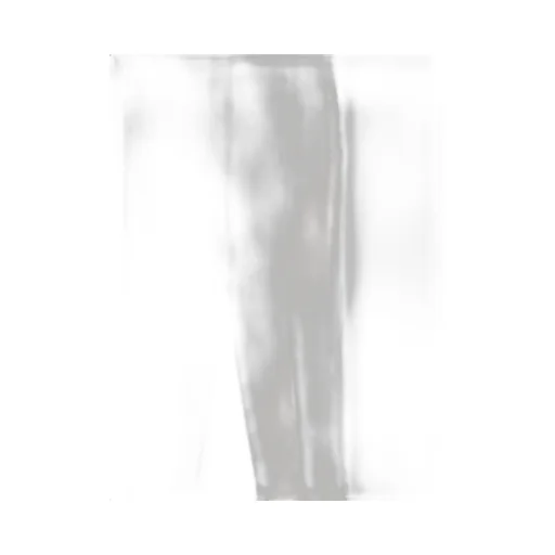 Antonelli Firenze Relaxed Fit Pants