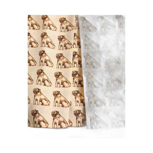 Crepe De Chine Skirt With Petit Charles Print