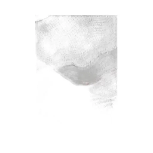 Moncler Logo Patch Fringe Detailed Scarf