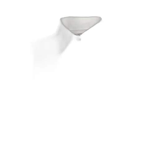Sportmax Oste Button-Up Shirt