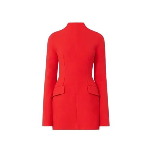 Sportmax Tefrite Long-Sleeved Mini Dress