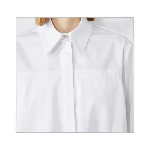 Zemira Cinched-Waist Shirt