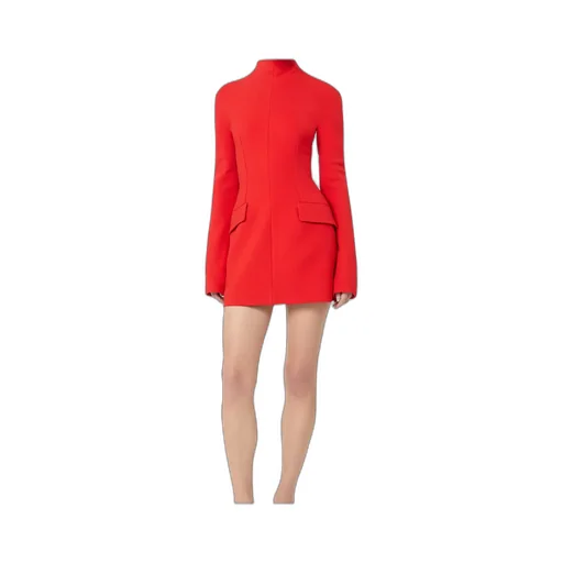 Sportmax Tefrite Long-Sleeved Mini Dress
