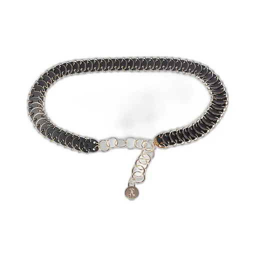 Coin-Link Belt