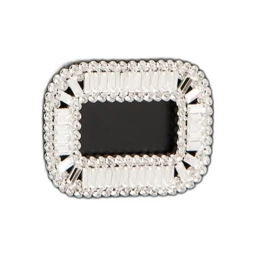Roger Vivier Pilgrim Mini Bag