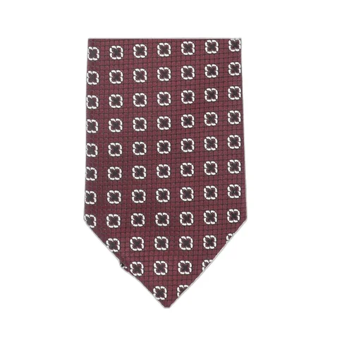 Zegna Printed Tie
