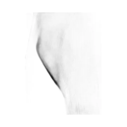 Rick Owens Ribbed Long Sleeve Top