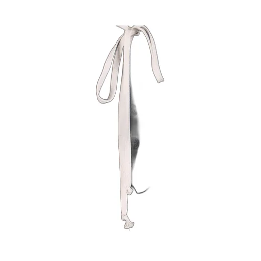 Rick Owens Drawstring Trousers