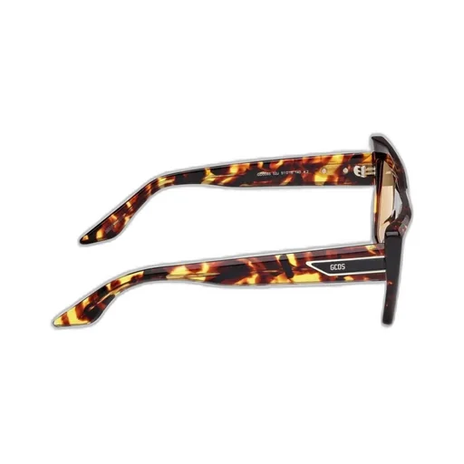 Logo Temple Sunglasses