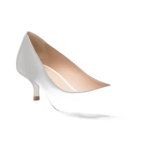 Pointed High Heels