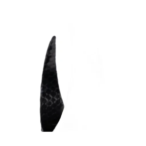 Dsquared2 Embossed Earrings