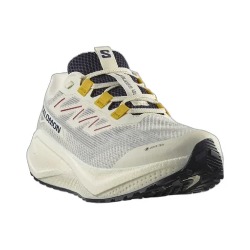 Aero Blaze 3 Grvl Gore-Tex