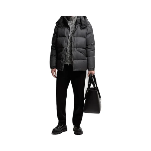 Moncler Eawy Hooded Short Puffer Jacket