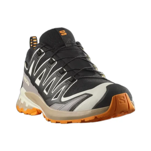 Xa Pro 3D V9 Gore-Tex