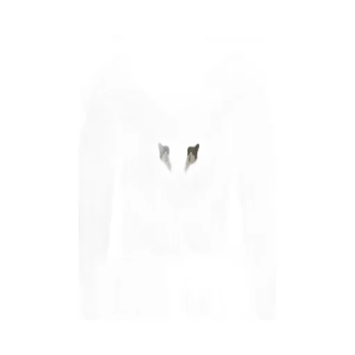Long Sleeve Dress