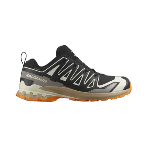 Xa Pro 3D V9 Gore-Tex