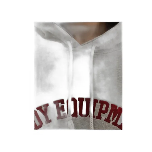 Body Equipment Hoodie