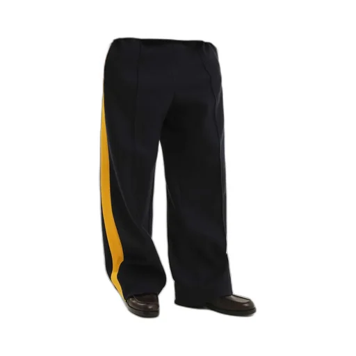 1989 Studio Side Stripe Pants