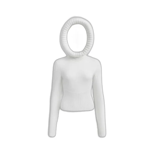 Long-Sleeved Sweater