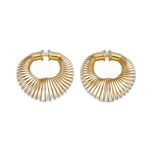 Spiral Hoop Earrings