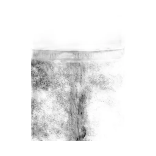 Floral-Lace Tights