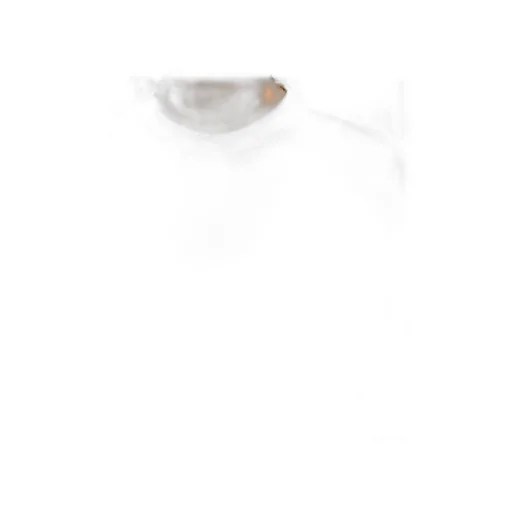 Round Neck Long-Sleeved T-Shirt