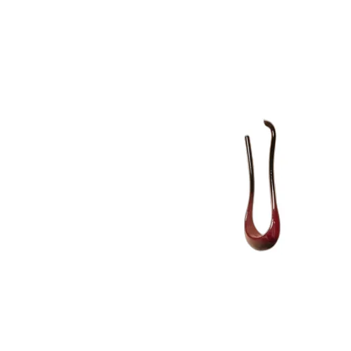 Long Hoop Earrings