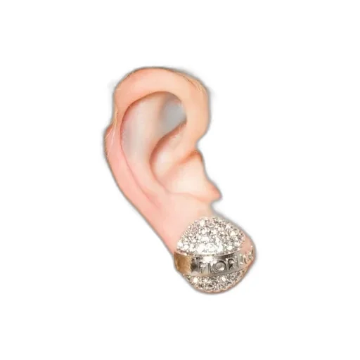 Crystal Decorative Earrings