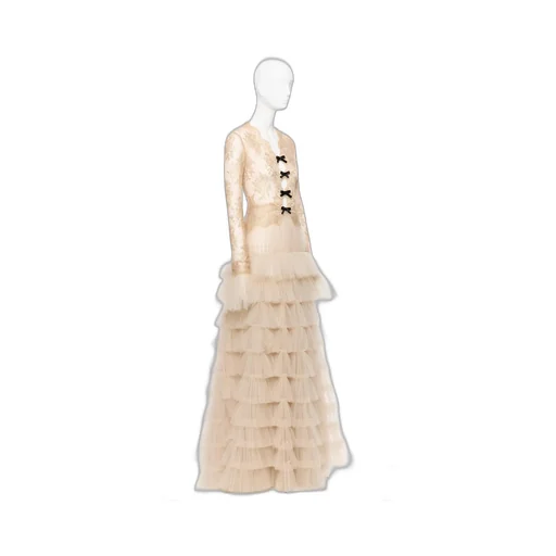Long-Sleeved Evening Gown